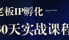 诸葛·2023老板IP实战课,实体同城引流获客,IP孵化必听