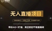 前线玩家快手无人直播带货课,带你从0-1打造,真正的日不落直播间