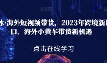 黑冰·海外短视频带货,2023年跨境新风口,海外小黄车带货新机遇