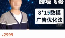 跨境飞哥·广告优化高阶课第二十三期,8*15数模广告优化法,用数据驱动决策