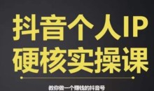 个人IP创富系统实战课,商业定位,流量打造,短视频变现,教你做个赚钱的抖音号