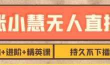 张小慧无人直播精英课,基础+进阶+精英课,持久不下播