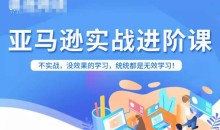 亚马逊FBA运营进阶课,不实战,没效果的学习,统统都是无效学习