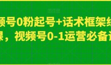 视频号0粉起号+话术框架线上课,视频号0-1运营必备课