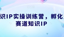 知识IP实操训练营,孵化多赛道知识IP