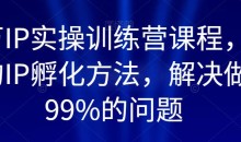 百万IP实操训练营课程,完整的IP孵化方法,解决做号99%的问题