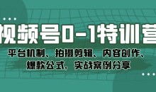 视频号0-1特训营:平台机制、拍摄剪辑、内容创作、爆款公式,实战案例分享