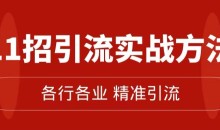 精准引流术:11招引流实战方法,让你私域流量加到爆(11节课完整)