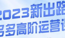 大炮·多多高阶运营课,3大玩法助力打造爆款,实操玩法直接亮出干货