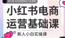 小红书电商运营基础课,新人小白实操课