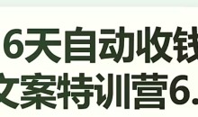 16天自动收钱文案特训营6.0,学会儿每天自动咔咔收钱