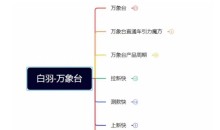 白羽·直引万搜索全篇,从0-1,多个类目实操经验总结付费