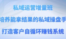 私域运营增量班,培养能拿结果的私域操盘手,打造客户自循环赚钱系统