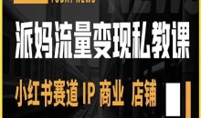 派妈流量变现私教课,小红书赛道IP 商业 店铺