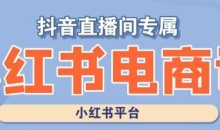 小红书电商高级运营课程,实操教学+案例分析