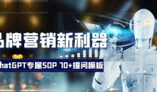 品牌营销新利器:ChatGPT专属SOP,70+提问模板