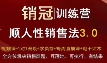 爆款!销冠训练营3.0之顺人性销售法,全方位解决销售难题、可落地、可执行、有结果