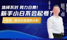 大左教您从0到1做直播带货,选择不对,努力白费,5小时课程搞定那点事,解决你起号问题