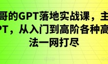 浩哥的GPT落地实战课,主攻GPT,从入门到高阶各种高端法一网打尽
