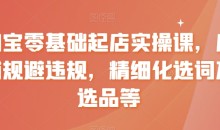 淘宝零基础起店实操课,店铺规避违规,精细化选词及选品等