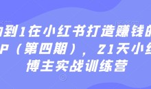 从0到1在小红书打造赚钱的个人IP(第四期),21天小红书博主实战训练营