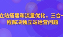独立站搭建和流量优化,三合一课程解决独立站运营问题