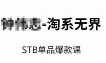 淘系无界STB单品爆款课(2024),付费带动免费的核心逻辑,万相台无界关键词推广/精准人群的核心