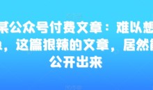 某公众号付费文章:难以想象,这篇狠辣的文章,居然能公开出来