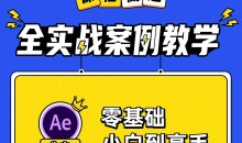 AE+Pr平面设计高能秘籍课快速上手教程
