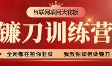 2024年普通人如何利用知识付费项目年入百万,实现财富自由