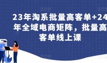 23年淘系批量高客单+24年全域电商矩阵