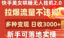 快手美女哄睡无人挂机2.0多种变现途径日收3000+