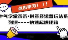 牛气学堂茶茶•拼多多运营玩法-快速起爆秘籍