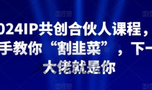 2024IP共创合伙人课程,手把手教你“割韭菜”,下一个大佬就是你