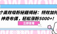 两个高效吸粉秘籍揭秘:轻松涨粉5000+