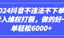 2024抖音不违法不下单0投入维权打假,做的好一单轻松6000+