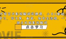 方哥艺术影视解说实操课小白0基础课程