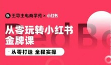 王导主·小红书电商运营实操课,从零打造 全程实操