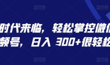 AI 时代来临轻松掌控微信视频号日入300+揭秘