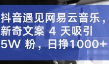 抖音遇见网易云音乐,新奇文案 4 天吸引 5W 粉日挣1000+