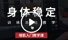 健身增肌身体稳定训练基础增肌入门教学课