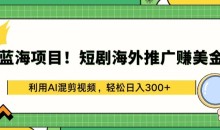 蓝海项目!短剧海外推广赚美金,利用AI混剪视频,轻松日入300+揭秘