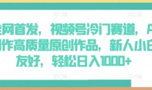 全网首发,视频号冷门赛道,AI制作高质量原创作品,轻松日入1000+