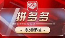 2024拼多多系列课,【基础】【运营】【活动】【推广】【玩法】5大模块