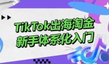 TikTok出海淘金,新手体系化入门,零基础快速入门,掌握短视频、直播带货等引流到变现的知识