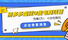 拼多多虚拟U盘电商红利项目:月赚2万+,新手小白也能玩