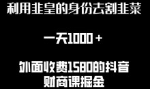 利用非皇的身份去割韭菜,一天1000+(附详细资源)
