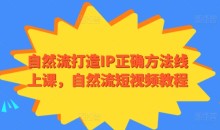 自然流打造IP正确方法线上课自然流短视频
