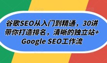 谷歌SEO从入门到精通,30讲带你打造排名,清晰的独立站+Google SEO工作流