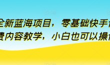 全新蓝海项目小白零基础快手付费内容教学